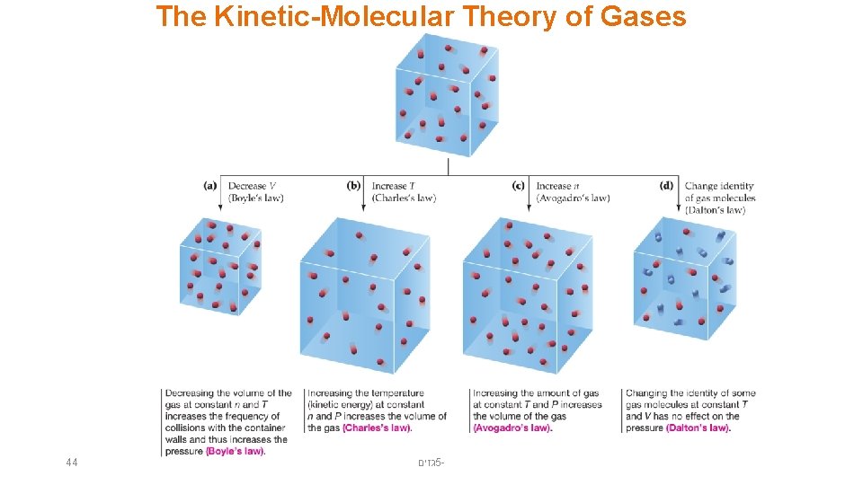 The Kinetic-Molecular Theory of Gases 44 גזים 5 - 