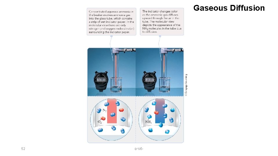 Gaseous Diffusion 52 גזים 5 - 