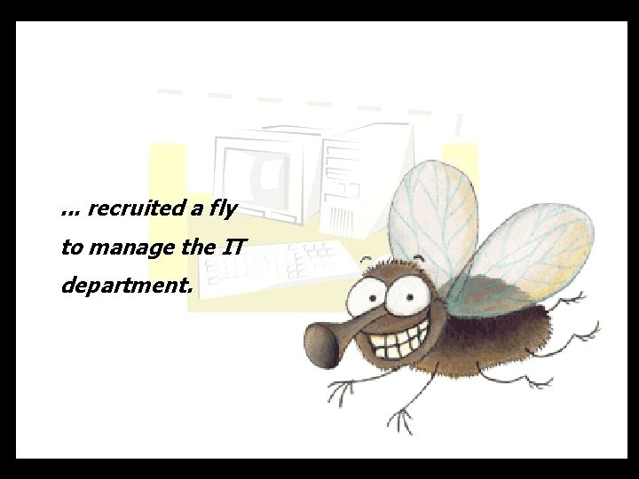 . . . recruited a fly to manage the IT department. 
