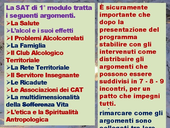 La SAT di 1° modulo tratta i seguenti argomenti. ØLa Salute ØL’alcol e i