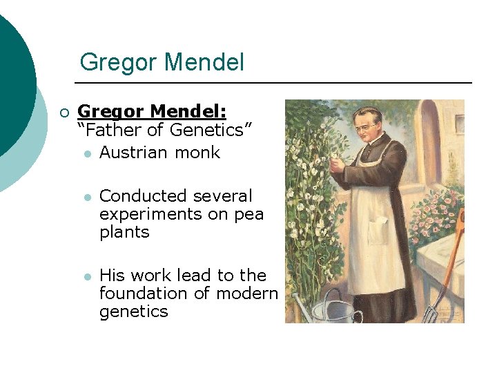 Gregor Mendel ¡ Gregor Mendel: “Father of Genetics” l Austrian monk l Conducted several