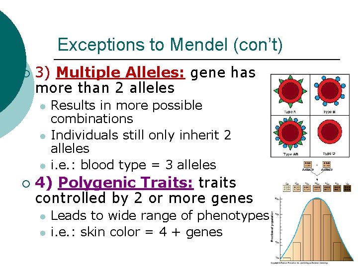 Exceptions to Mendel (con’t) ¡ 3) Multiple Alleles: gene has more than 2 alleles