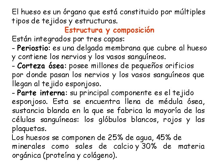 El hueso es un órgano que está constituido por múltiples tipos de tejidos y