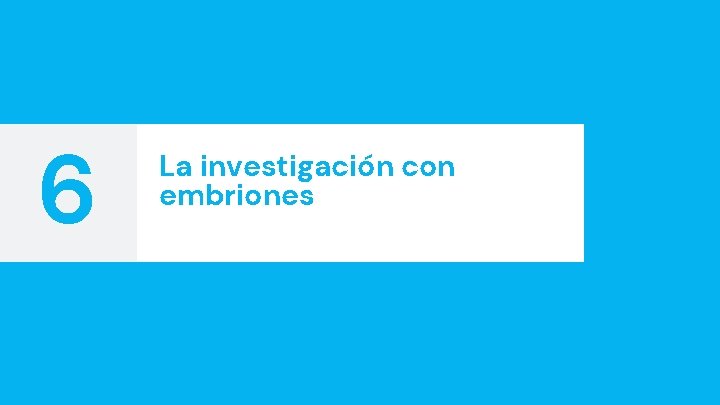 6 La investigación con embriones 