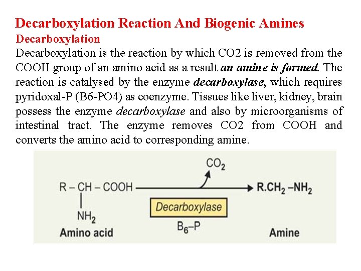 Decarboxylation Reaction And Biogenic Amines Decarboxylation is the reaction by which CO 2 is