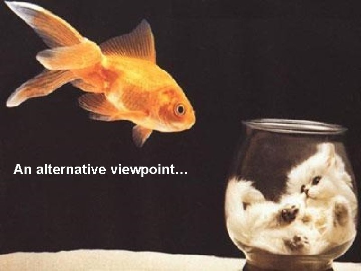 An alternative viewpoint… 