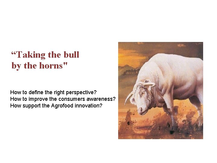 “Taking the bull by the horns" How to define the right perspective? How to
