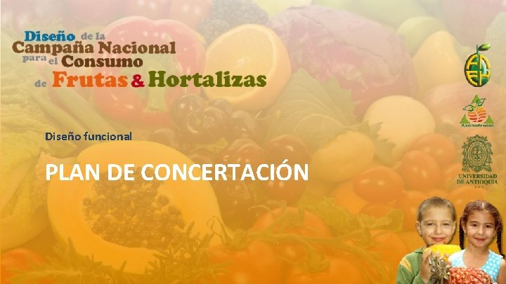 Diseño funcional PLAN DE CONCERTACIÓN 