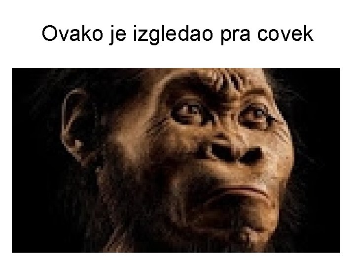 Ovako je izgledao pra covek 