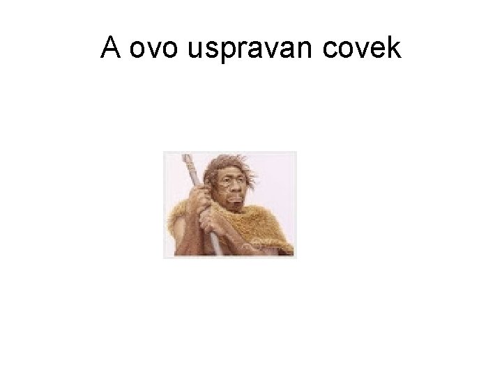 A ovo uspravan covek 