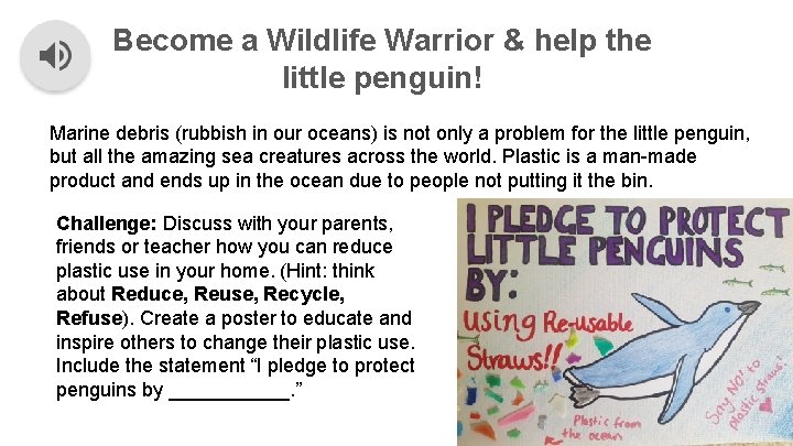Become a Wildlife Warrior & help the little penguin! Marine debris (rubbish in our