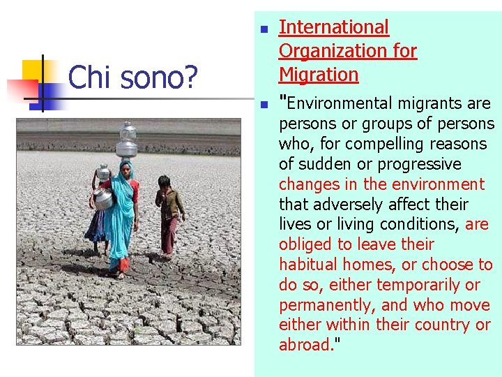 n Chi sono? n International Organization for Migration "Environmental migrants are persons or groups