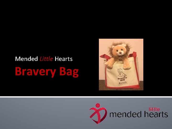 Mended Little Hearts Bravery Bag 