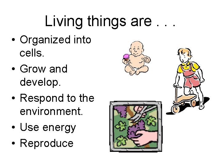 Living things are. . . • Organized into cells. • Grow and develop. •