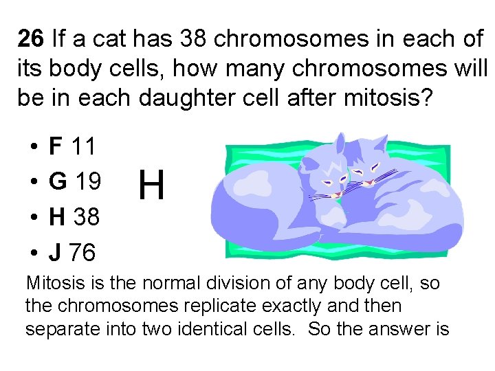 26 If a cat has 38 chromosomes in each of its body cells, how