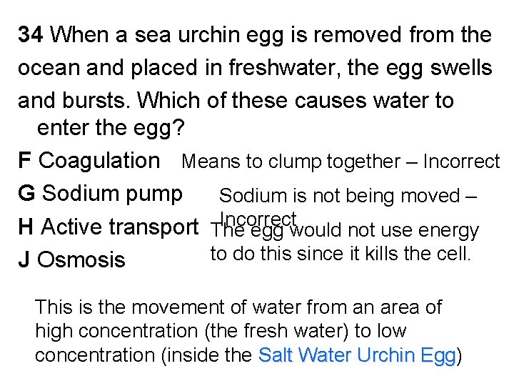 34 When a sea urchin egg is removed from the ocean and placed in