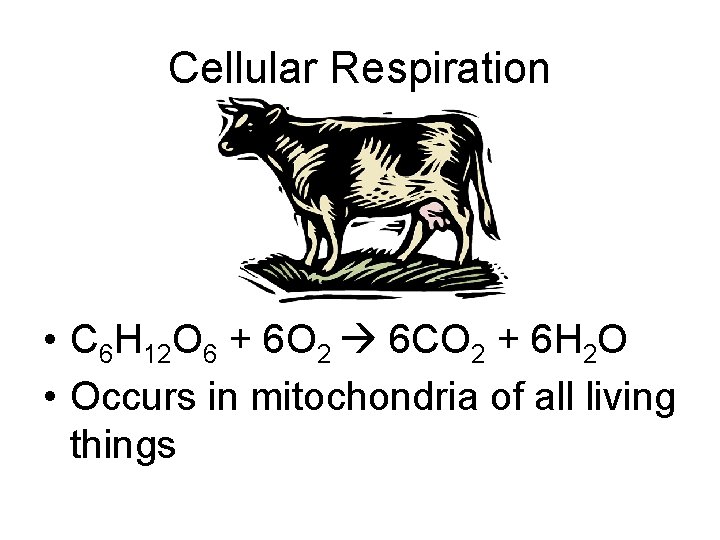 Cellular Respiration • C 6 H 12 O 6 + 6 O 2 6