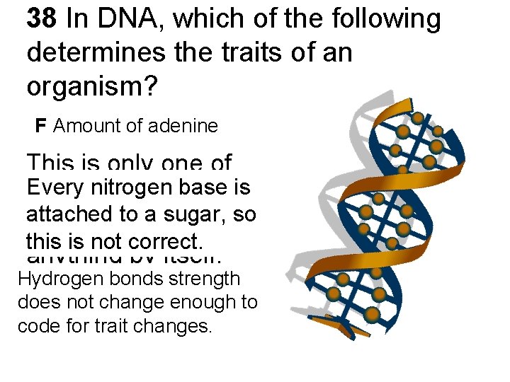 38 In DNA, which of the following determines the traits of an organism? F