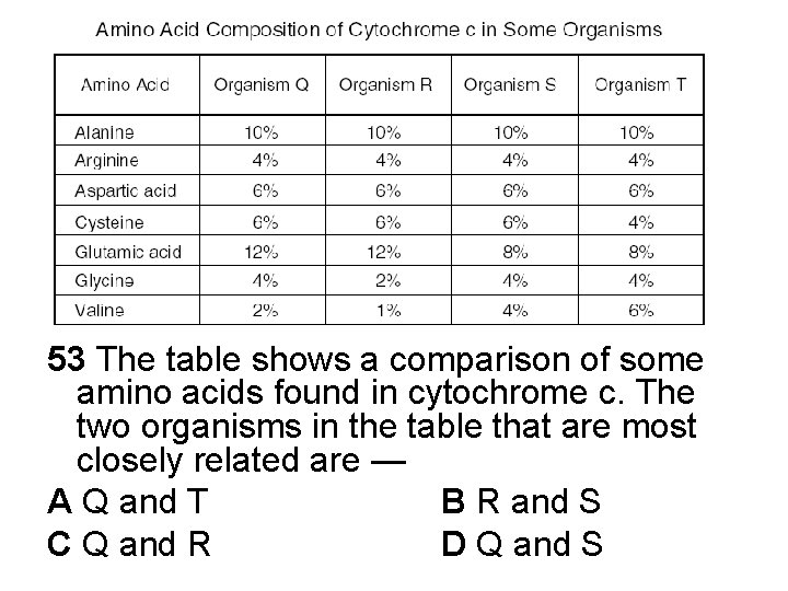 53 The table shows a comparison of some amino acids found in cytochrome c.