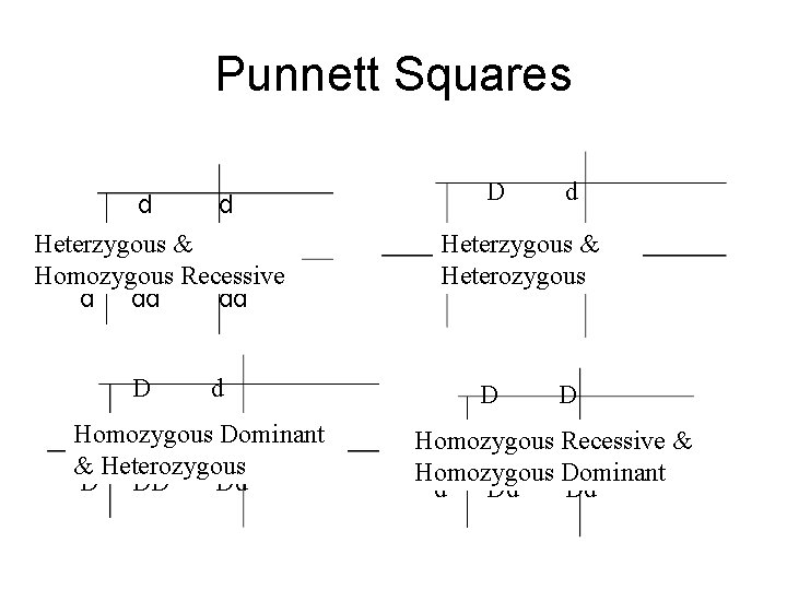 Punnett Squares d Heterzygous & D Dd Dd Homozygous Recessive d dd D d