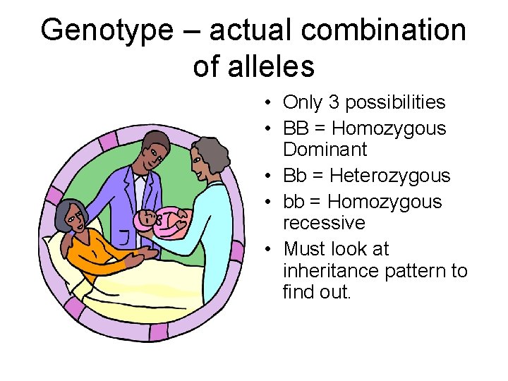 Genotype – actual combination of alleles • Only 3 possibilities • BB = Homozygous