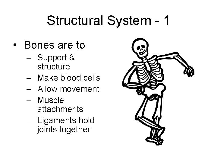 Structural System - 1 • Bones are to – Support & structure – Make