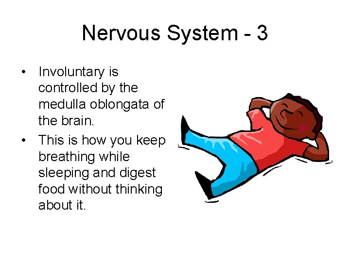 Nervous System - 3 • Involuntary is controlled by the medulla oblongata of the