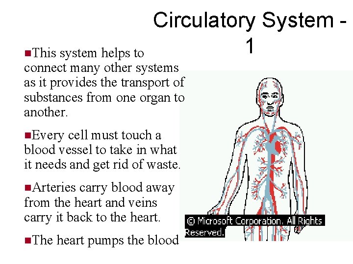 Circulatory System - 1 n. This system helps to connect many other systems as