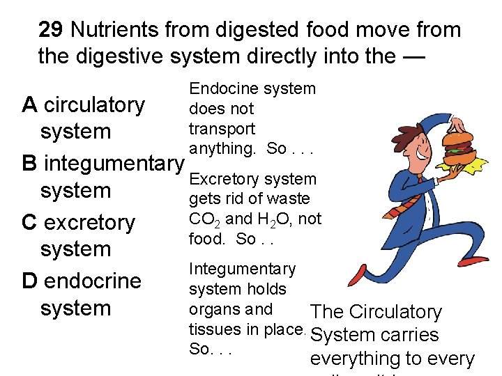 29 Nutrients from digested food move from the digestive system directly into the —