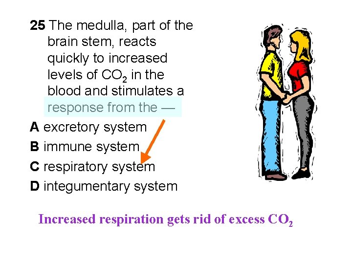 25 The medulla, part of the brain stem, reacts quickly to increased levels of