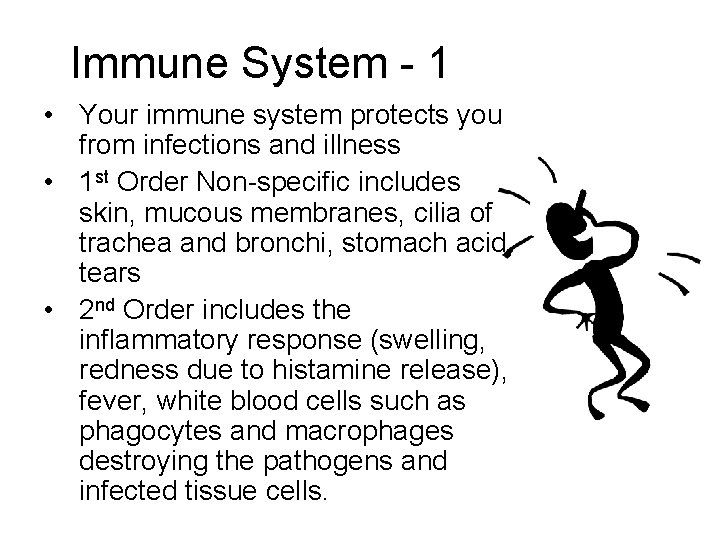 Immune System - 1 • Your immune system protects you from infections and illness