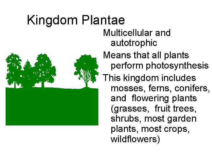 Kingdom Plantae Multicellular and autotrophic Means that all plants perform photosynthesis This kingdom includes