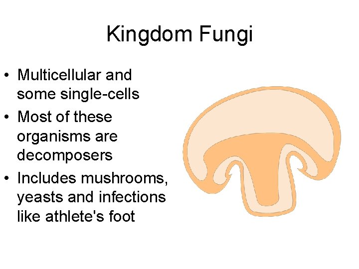 Kingdom Fungi • Multicellular and some single-cells • Most of these organisms are decomposers