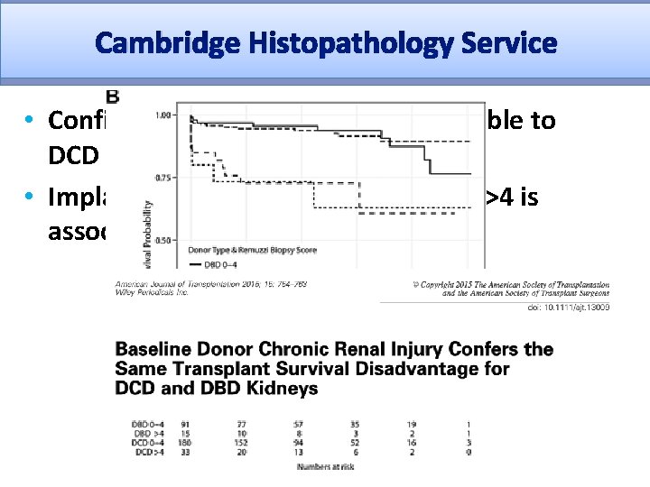 Cambridge Histopathology Service • Confirmed that score equally applicable to DCD kidneys • Implanting
