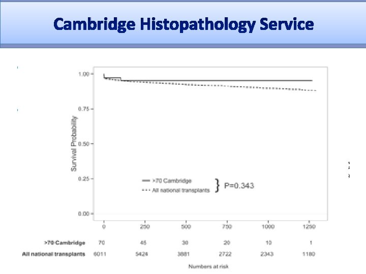 Cambridge Histopathology Service • Discriminate ‘good’ quality kidneys from within the elderly donor pool