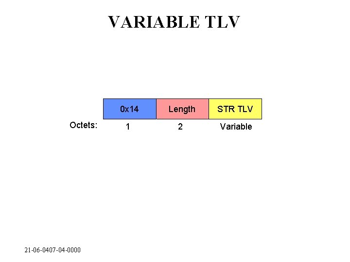 VARIABLE TLV Octets: 21 -06 -0407 -04 -0000 0 x 14 Length STR TLV