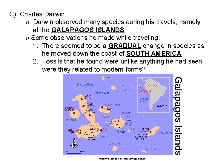 C) Charles Darwin observed many species during his travels, namely at the GALAPAGOS ISLANDS