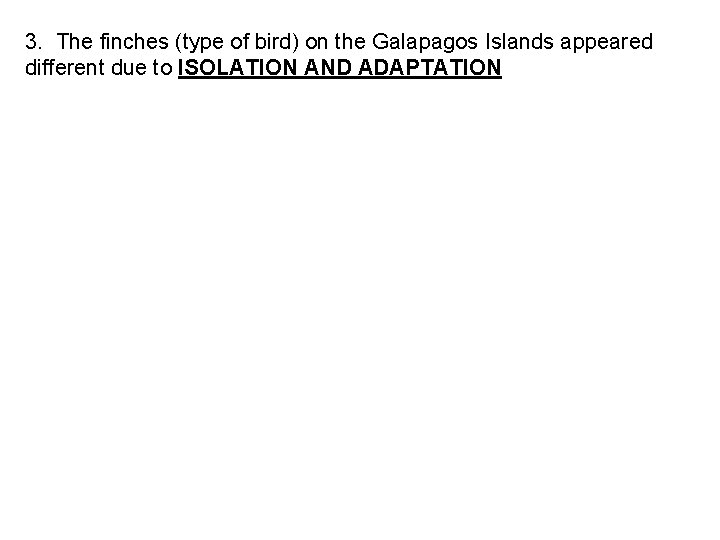 3. The finches (type of bird) on the Galapagos Islands appeared different due to