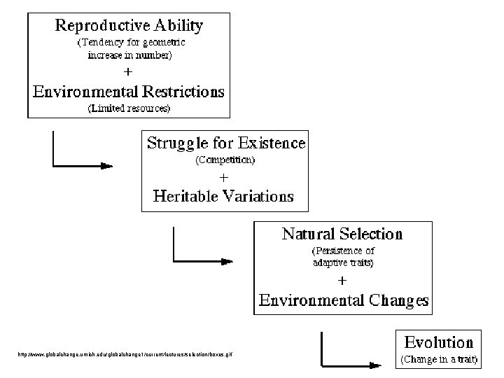 http: //www. globalchange. umich. edu/globalchange 1/current/lectures/selection/boxes. gif 