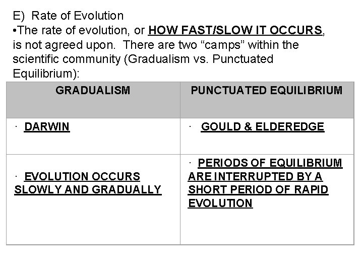 E) Rate of Evolution • The rate of evolution, or HOW FAST/SLOW IT OCCURS,