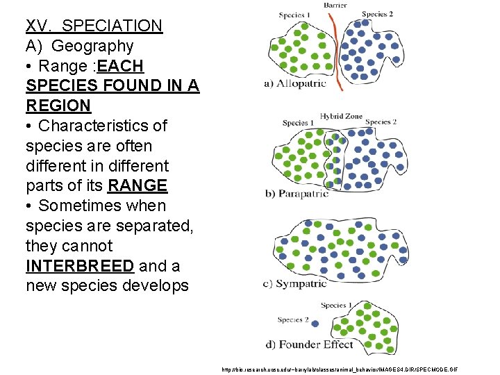 XV. SPECIATION A) Geography • Range : EACH SPECIES FOUND IN A REGION •