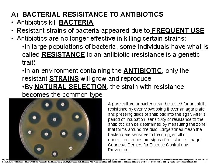 A) BACTERIAL RESISITANCE TO ANTIBIOTICS • Antibiotics kill BACTERIA • Resistant strains of bacteria
