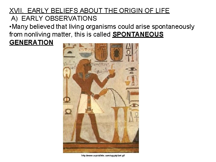 XVII. EARLY BELIEFS ABOUT THE ORIGIN OF LIFE A) EARLY OBSERVATIONS • Many believed