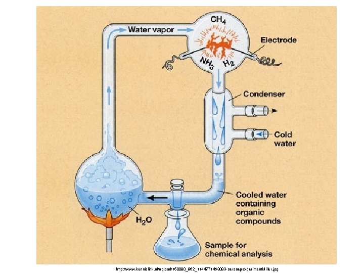 http: //www. kennislink. nl/upload/150080_962_1144771463083 -oersoepexperiment. Miller. jpg 