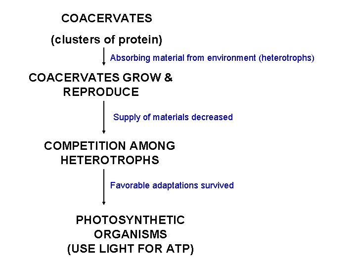 COACERVATES (clusters of protein) Absorbing material from environment (heterotrophs) COACERVATES GROW & REPRODUCE Supply