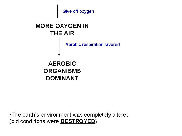 Give off oxygen MORE OXYGEN IN THE AIR Aerobic respiration favored AEROBIC ORGANISMS DOMINANT