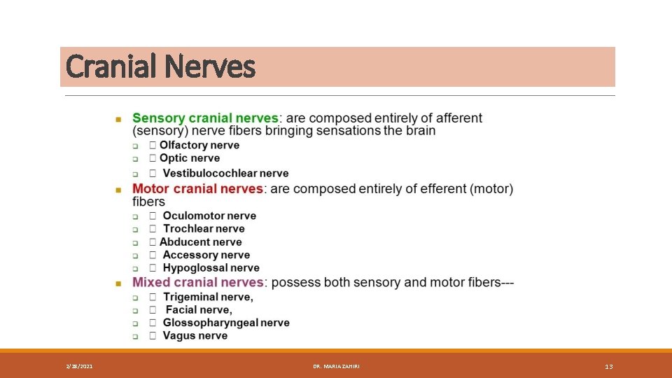 Cranial Nerves 2/28/2021 DR. MARIA ZAHIRI 13 