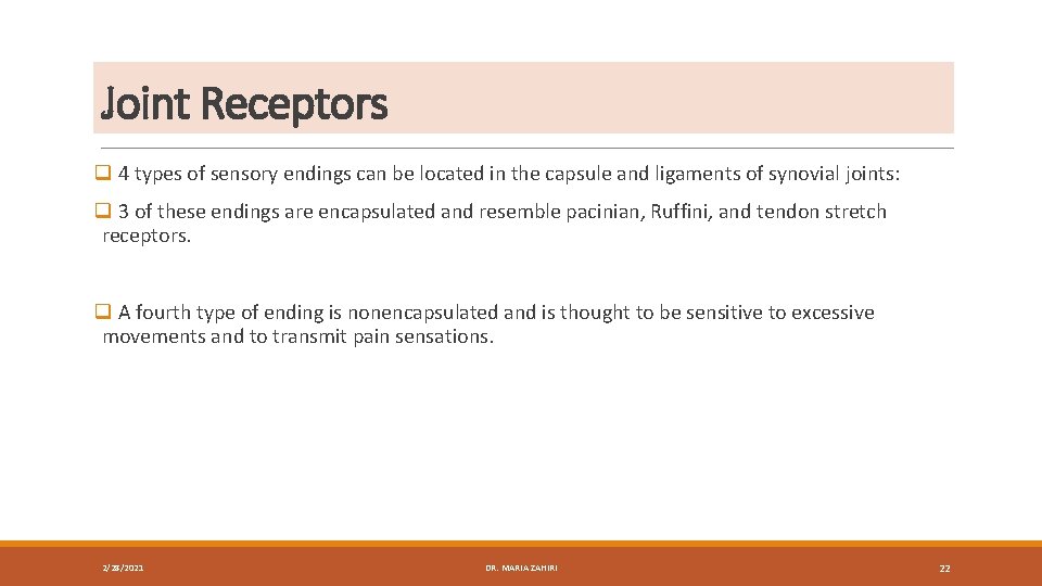 Joint Receptors q 4 types of sensory endings can be located in the capsule