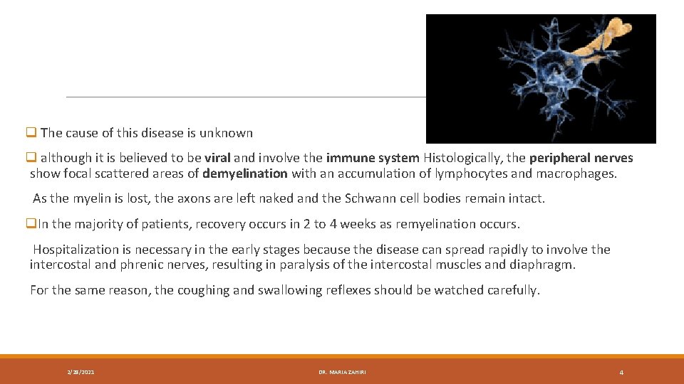 q The cause of this disease is unknown q although it is believed to