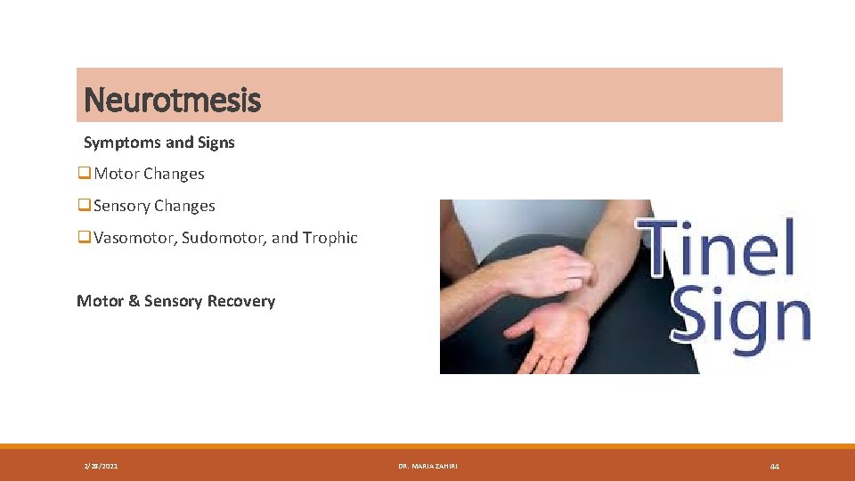 Neurotmesis Symptoms and Signs q. Motor Changes q. Sensory Changes q. Vasomotor, Sudomotor, and